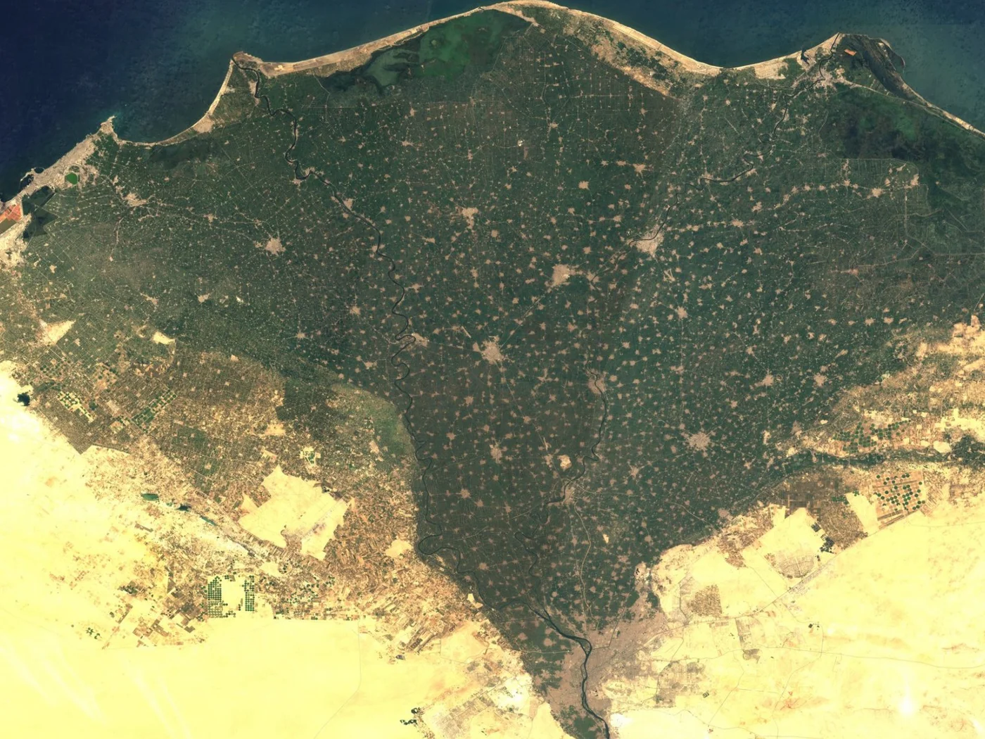 Satellite image of the Nile Delta, Egypt, showing green farmland, the Mediterranean coast, and Alexandria
