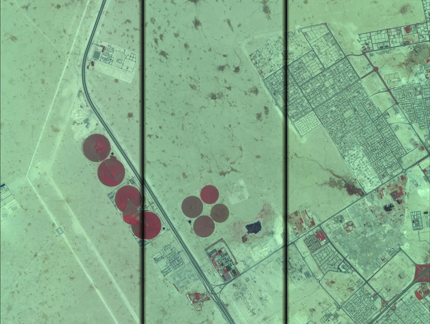 False-color satellite image of circular irrigated farms and new urban development on the outskirts of Doha, Qatar