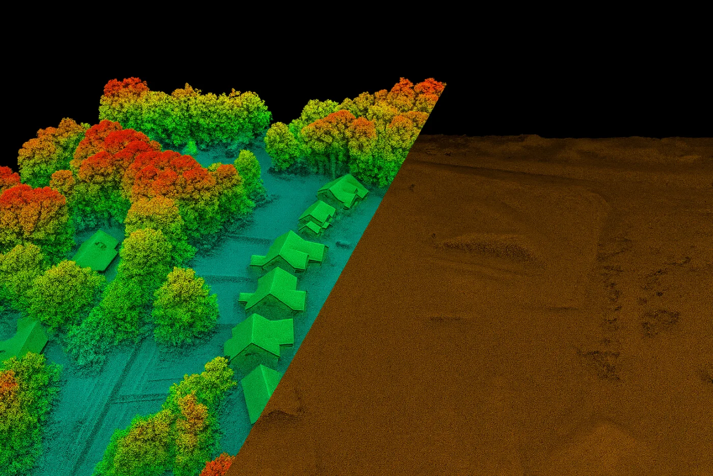 Colorized LiDAR point cloud showing 3D elevation and canopy structure of trees and buildings