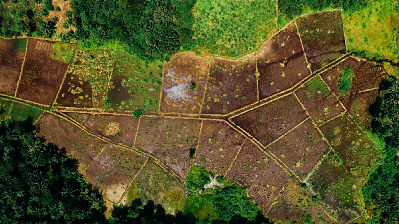 Aerial view of small, irregularly shaped subsistence farm plots divided by narrow footpaths