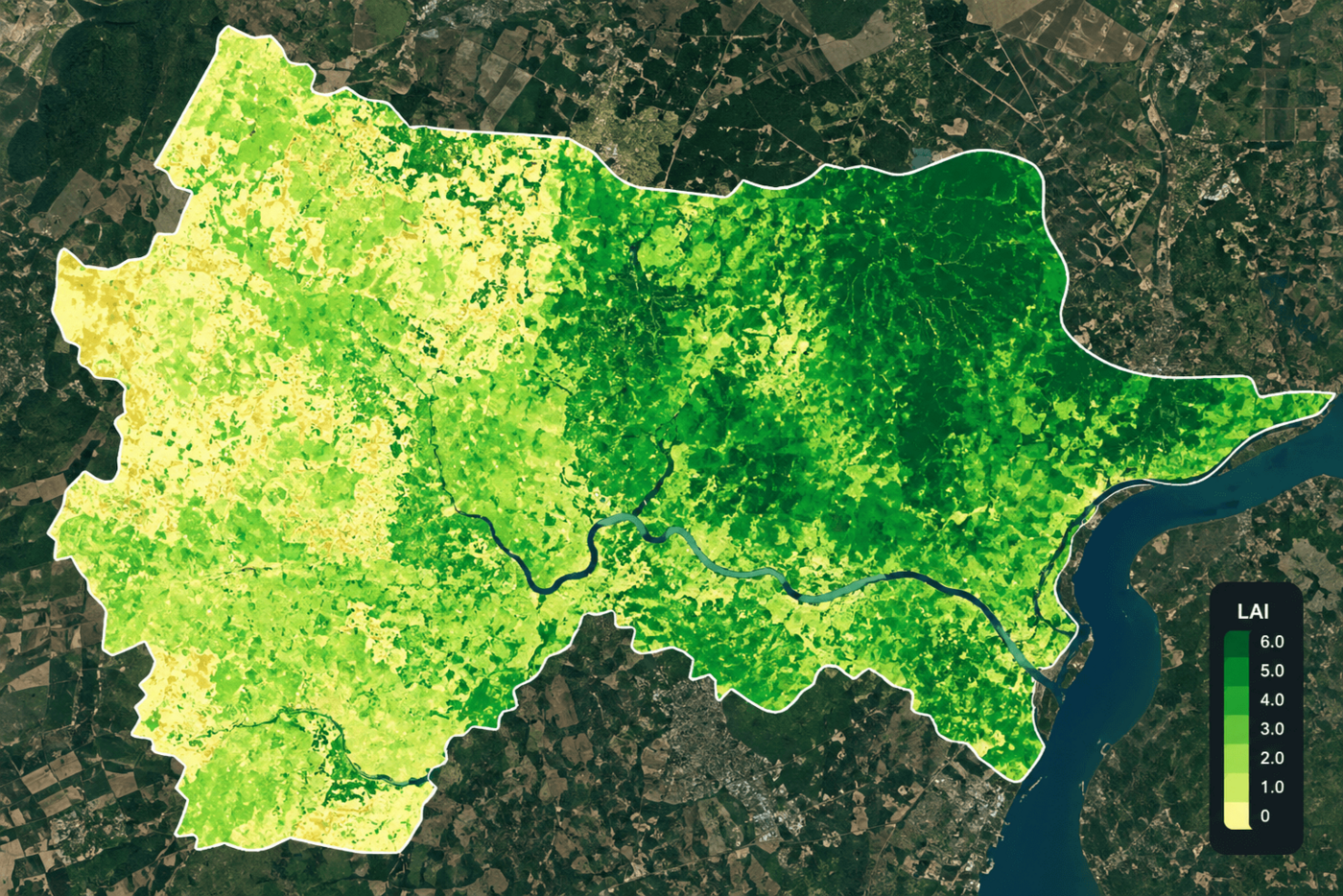 LAI Leaf Area Index satellite map of a farming region showing canopy density variation in a yellow-to-green gradient