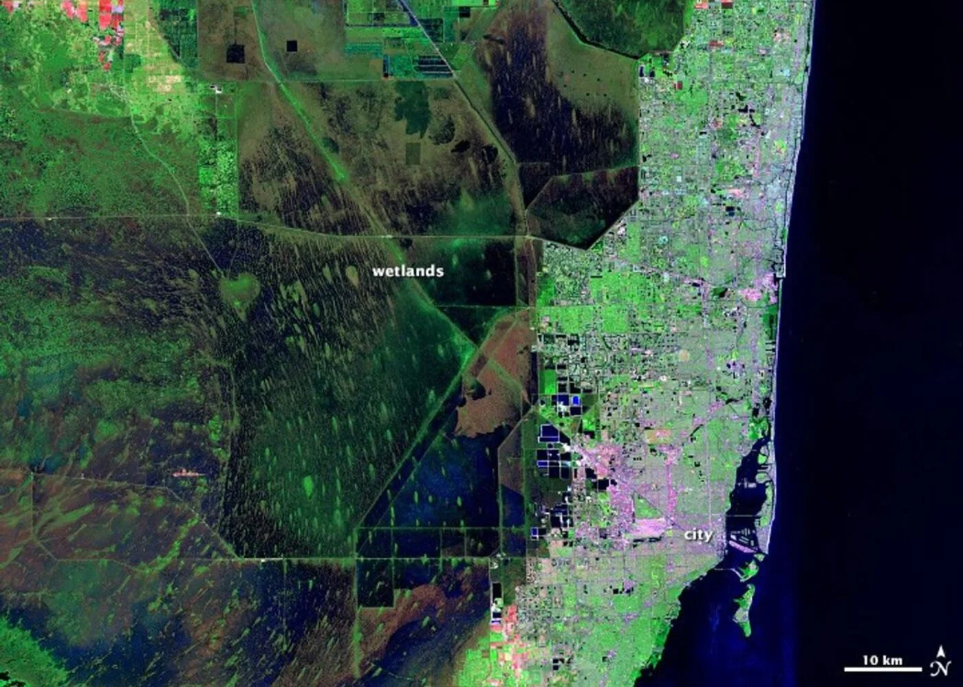 Landsat 5 false color infrared satellite image of the same southeast Florida scene, combining shortwave infrared, near-infrared, and green bands to reveal wetland boundaries and vegetation health