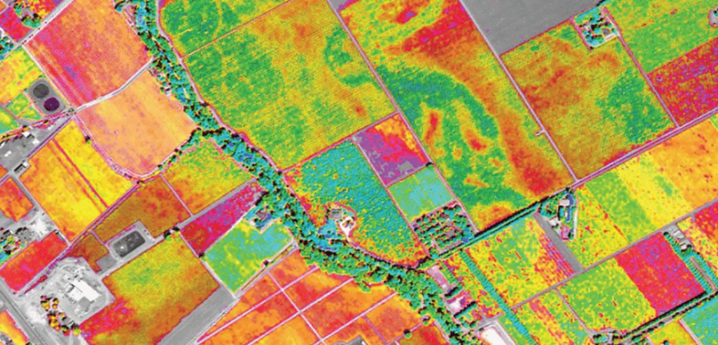 What Is Multispectral Imaging?