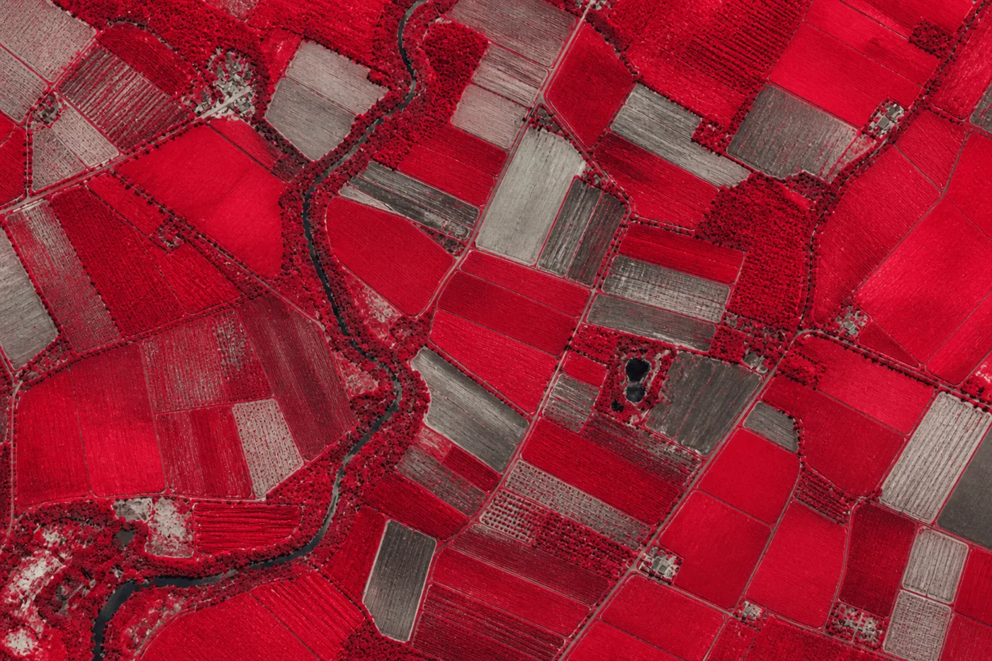 Near-infrared NIR2 satellite imagery of farmland rendered as a false-color red vegetation map