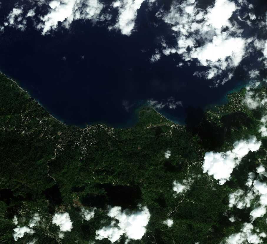 High-resolution satellite image of forested coastal terrain in Jamaica