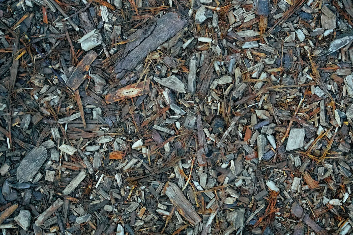 Close-up of organic mulch made of wood chips and bark covering soil to prevent erosion and moisture loss