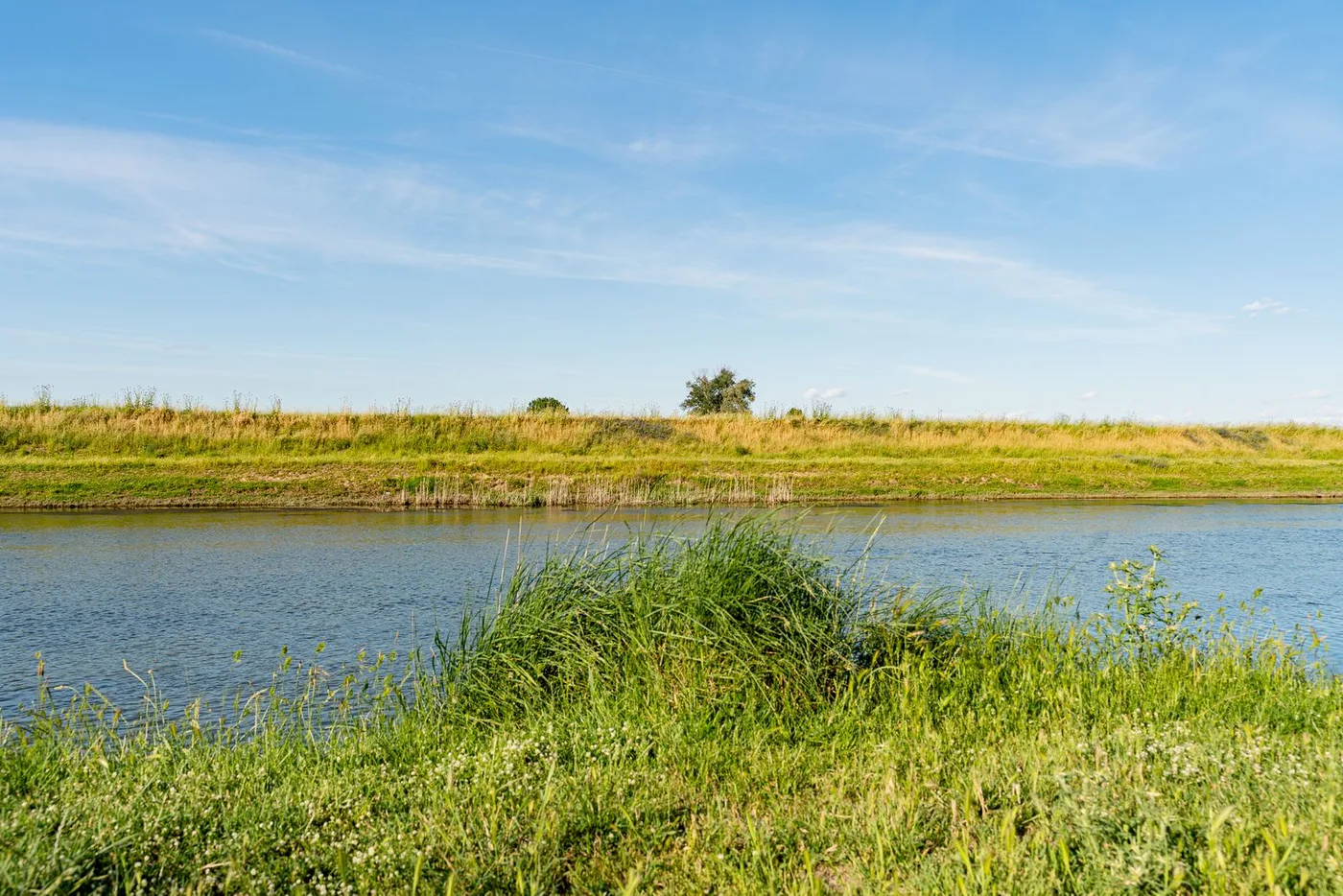 Grass and shrub buffer strip growing along a riverbank, a soil conservation method that prevents sediment runoff into water