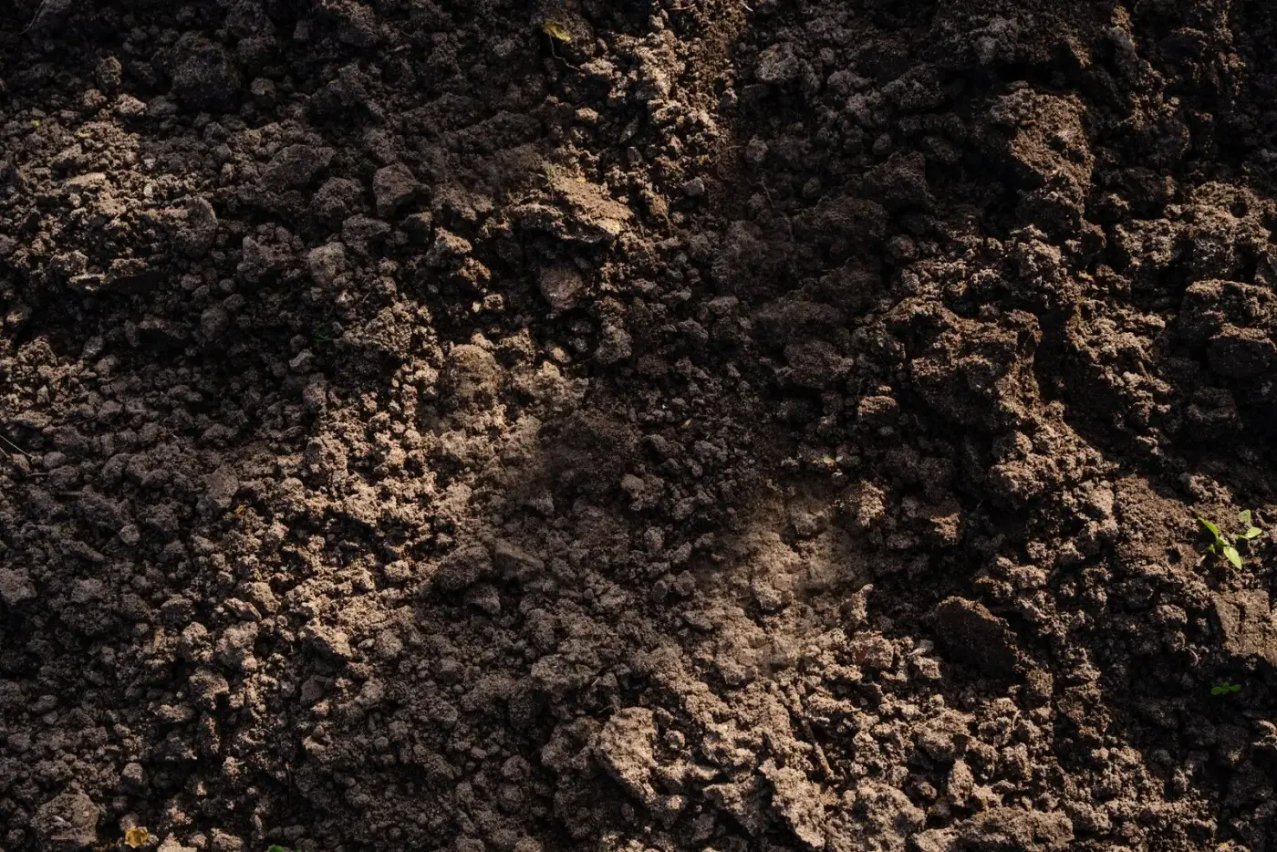 Types of Soil: The Complete Guide to Soil Categories and Characteristics