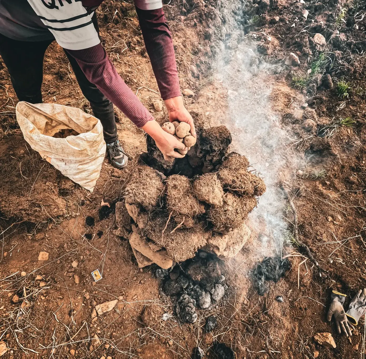 Dark, spongy peaty soil rich in decomposed organic matter