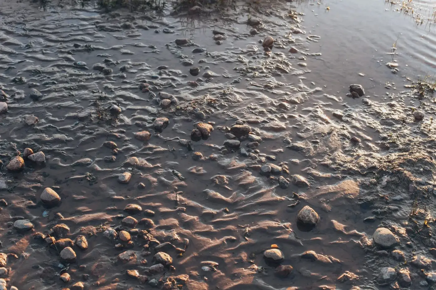 Smooth, fine silty soil with a soft, powdery texture